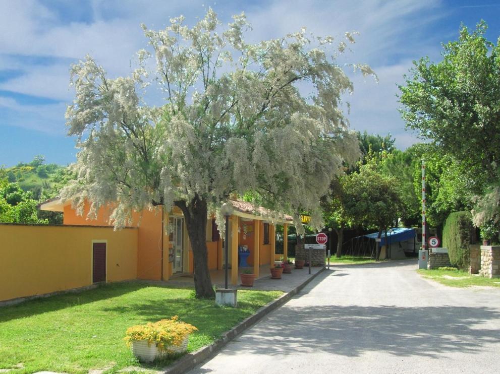 Camping Paradiso Песаро Екстериор снимка